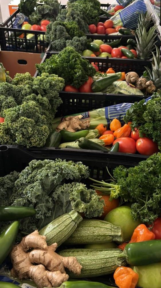 Crates of kale, parsley, and other leafy greens