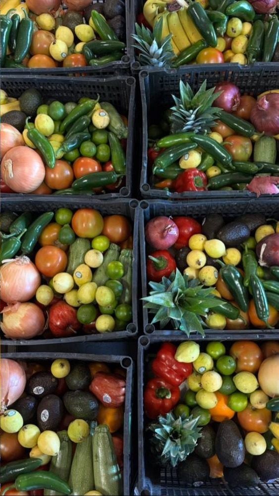 Crates of onions, zucchini, and other fresh vegetables